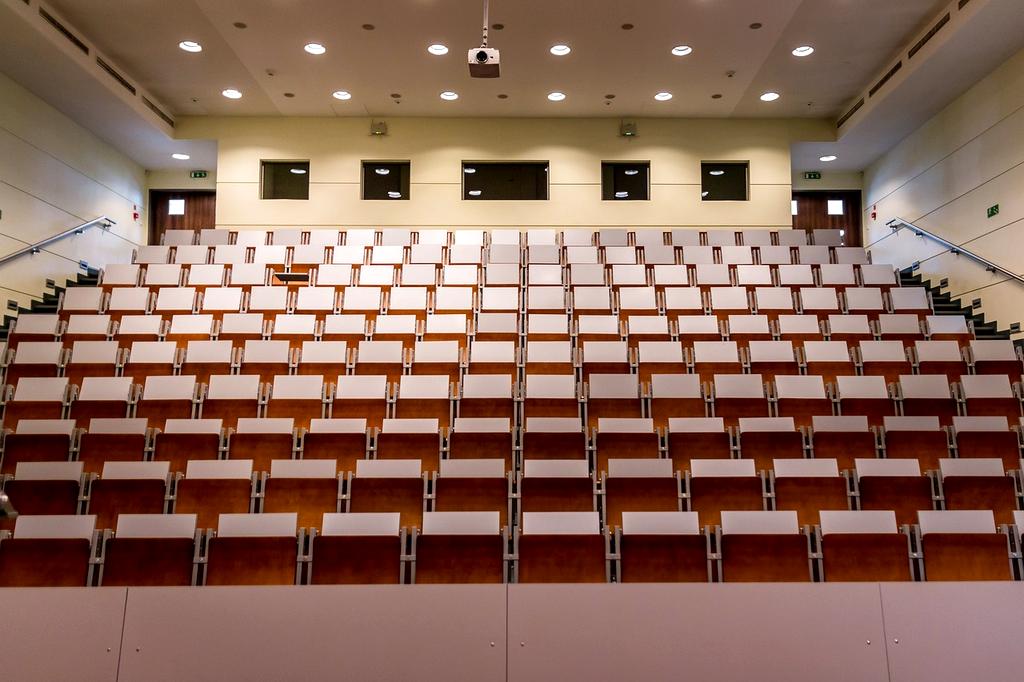 Public speaker addressing audience with confident posture